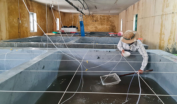 nguon-giong-quang-binh