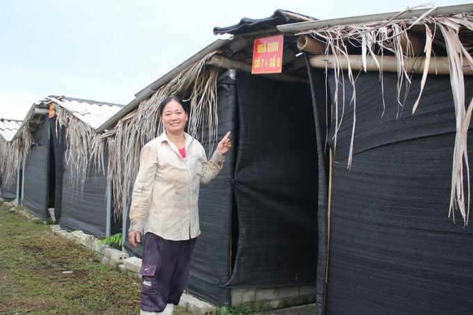 Chị Hoan đầu tư chuồng trại rộng 500m2 để nuôi trùn quế làm phân bón và thức ăn chăn nuôi cho cây trồng. Chị Hoan đầu tư chuồng trại rộng 500m2 để nuôi trùn quế làm phân bón và thức ăn chăn nuôi cho cây trồng.