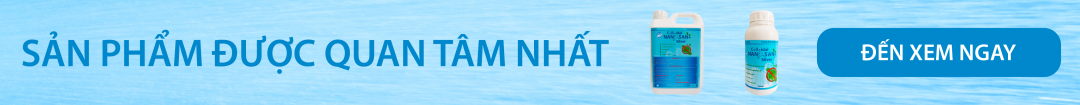 Banner nhỏ call to action Banner nhỏ call to action